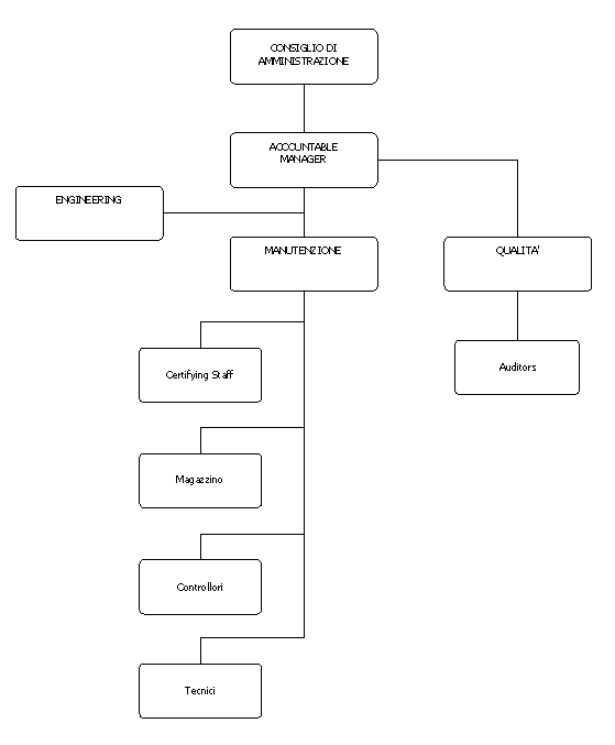 organigramma 145